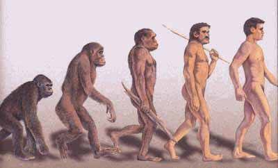 homo-erectus homo-erectus