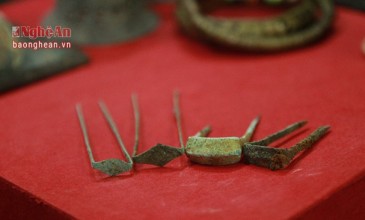 images1605551_anh_3 (1)