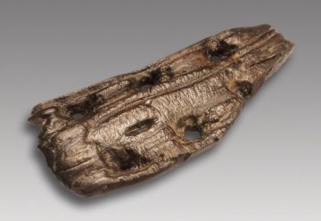 WhatsApp Image 2019-11-13 at 19.31.41